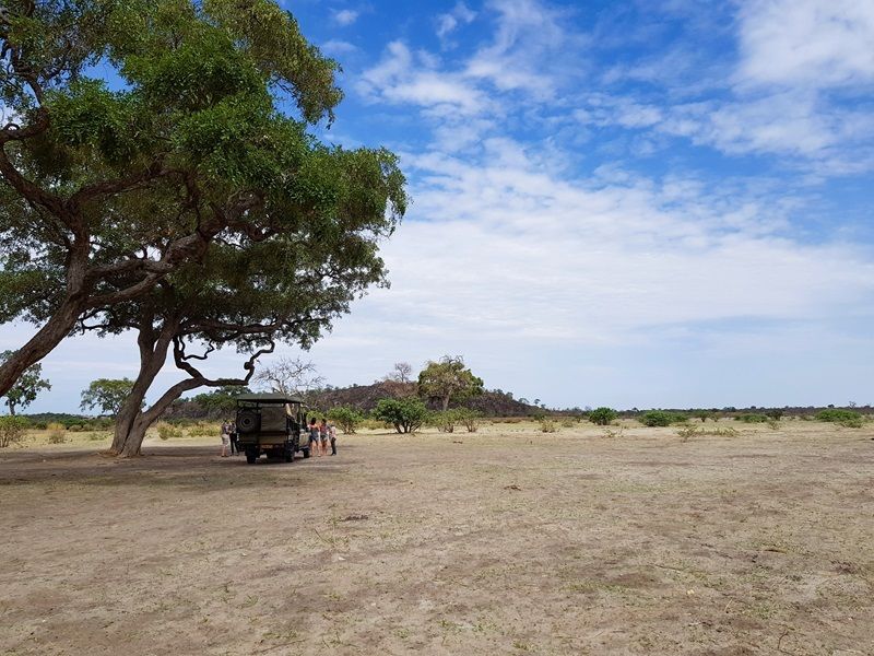 Sundowners in Chobe National Park, a day on safari in Africa. 