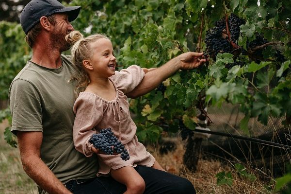 Margaret River Wine Region wine tours