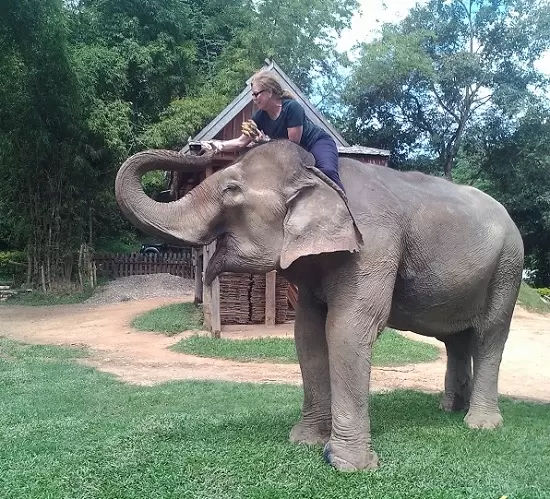 Elephant Sanctuary visit in Laos, by travel agent Deanne Scanlan