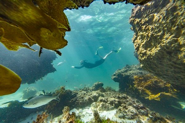 Snorkel and SCUBA in Jurien Bay, Western Australia