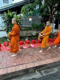 Alms giving ceremony, Luang Prabang