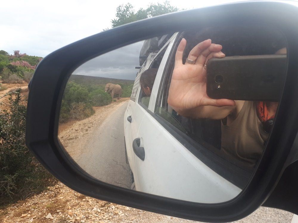 Self drive safari, Africa.