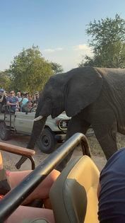 On safari at Moditlo Private Game Reserve.