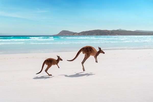 Lucky Bay white sand beach in south Western Australia