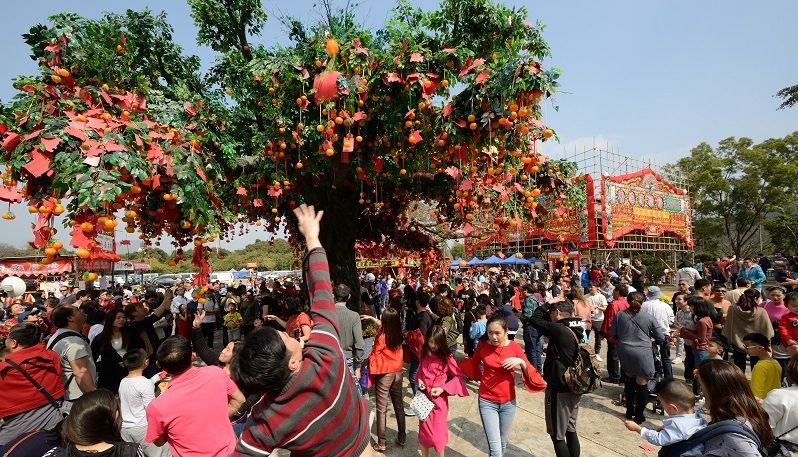 One of Hong Kong's luckiest spots, the Lam Tsuen Wishing Tree 