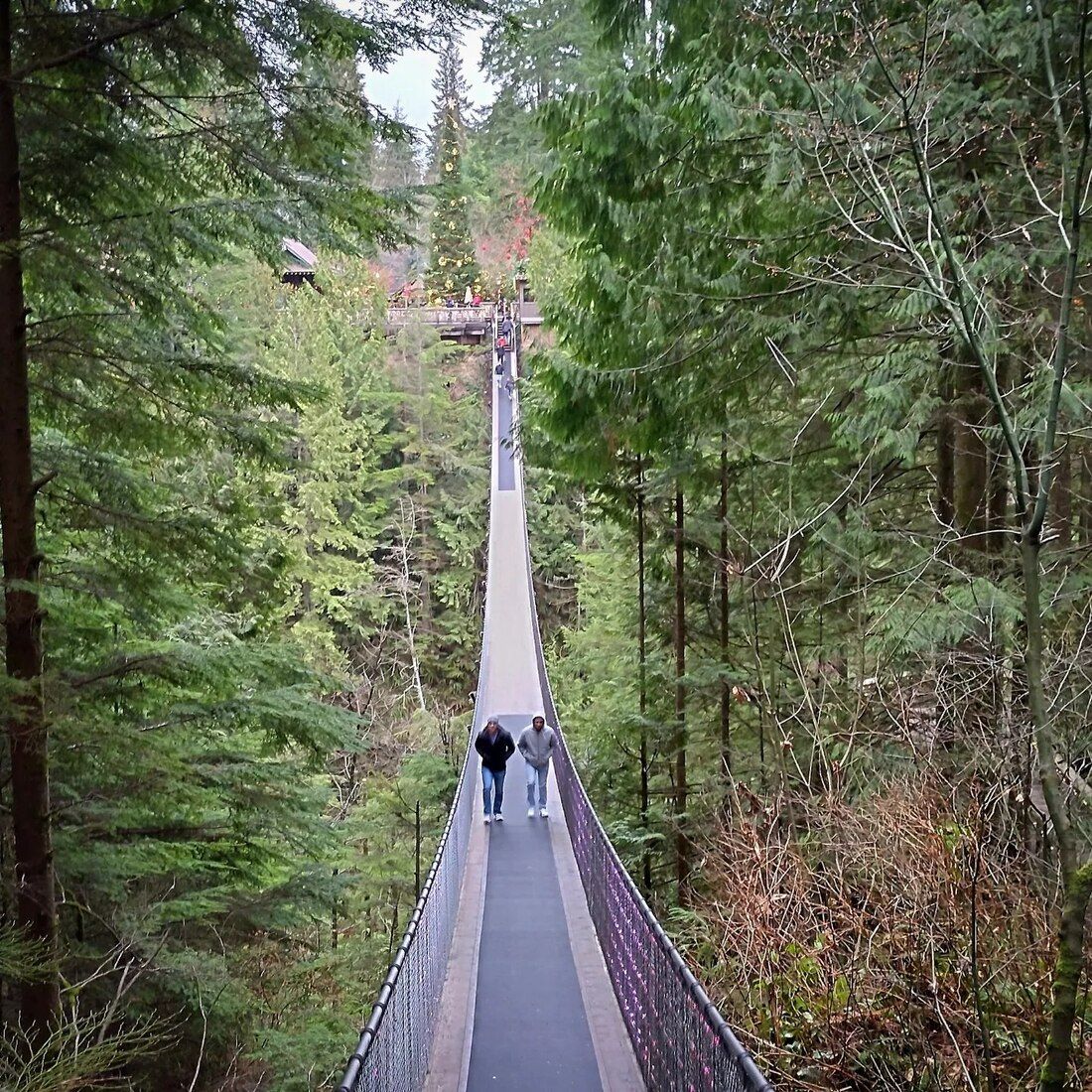 Capilano Suspension Bridget, Vancouver