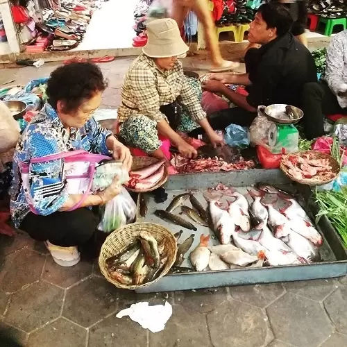 The old food markets in Siem Reap, Cambodia Trip