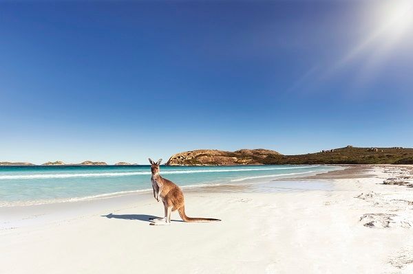 The whitest beach in Australia at Lucky Bay near Esperance, South Western Australia