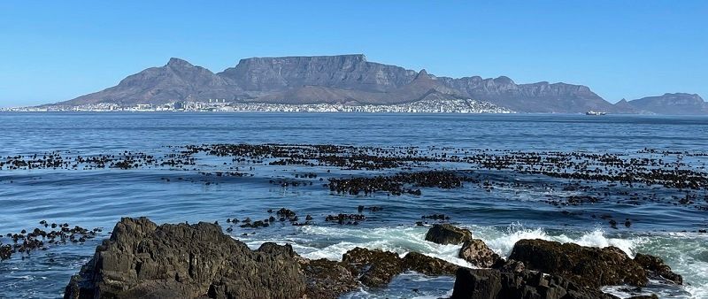 The mesmerising vistas of Table Mountain, Cape Town Highlights.