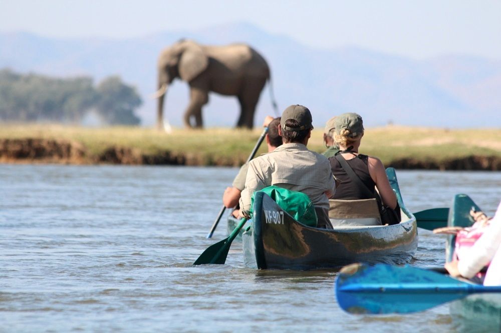 Water safari, Africa.