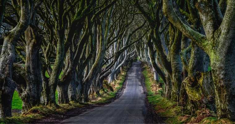 The Kings Road, Game of Thrones in Northern Ireland