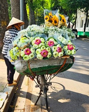 Hanoi Flower Seller, Vietnam Street Vendors