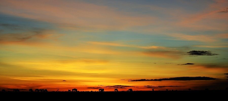 Sunset over the Masai Mara, African Safari Experience