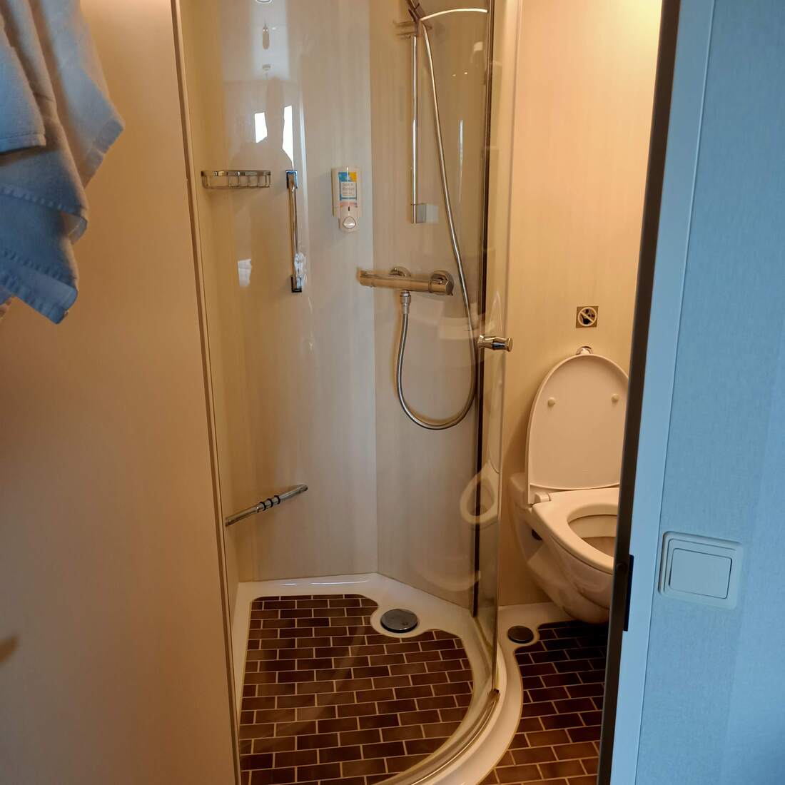 Royal Caribbean Quantum of the Seas Oceanview Cabin - Bathroom