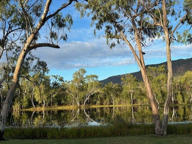 Image of ancient Australian outback trees behind a mirror-like reflective river with mountain ranges in the background and blue sky in Australia's Outback Queensland.