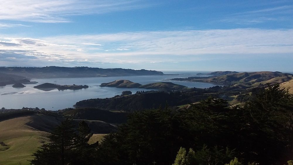 Otago Peninsula, South Island New Zealand