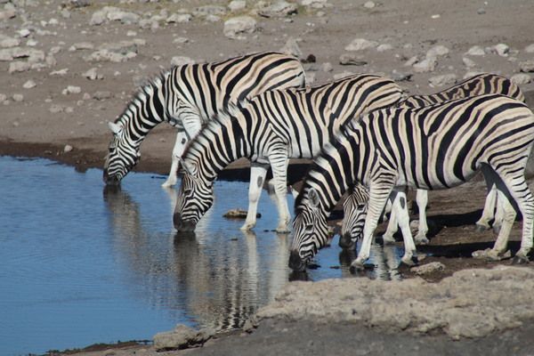 Namibia