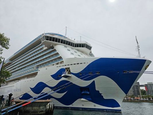 Majestic Princess for Families