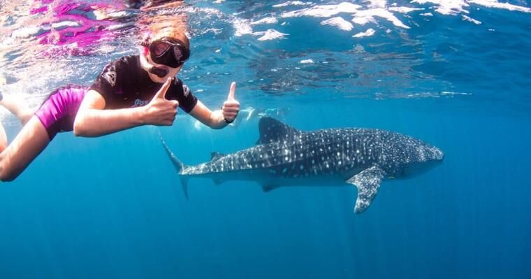 9 Nights Ningaloo Reef and the Coral Coast | WA