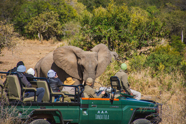 A Day on Safari: What to Expect