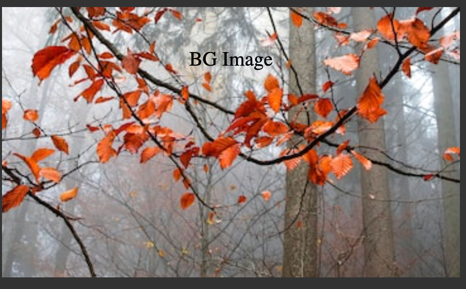 https://ik.imagekit.io/5aalo5l7bu7/DevBlog/Screenshot_2022-09-01_at_6.44.44_AM_Odzt78VnE.png?ik-sdk-version=javascript-1.4.3&updatedAt=1672126361839