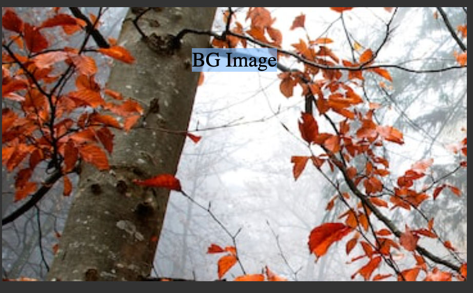 https://ik.imagekit.io/5aalo5l7bu7/DevBlog/Screenshot_2022-09-01_at_6.56.58_AM_vCL-pNYBZq.png?ik-sdk-version=javascript-1.4.3&updatedAt=1672126361957