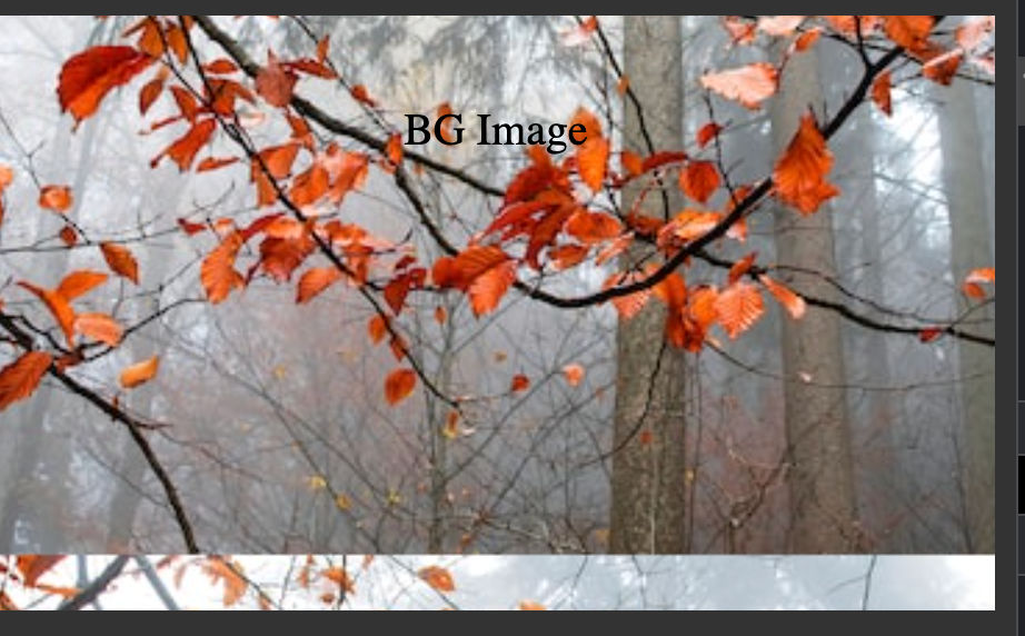 https://ik.imagekit.io/5aalo5l7bu7/DevBlog/Screenshot_2022-09-01_at_8.43.49_AM_59R6AcplVi.png?ik-sdk-version=javascript-1.4.3&updatedAt=1672126362884