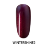 wintershine-2