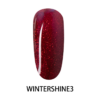 wintershine-3