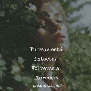 Tu raíz está intacta.  Volverás a  florecer.