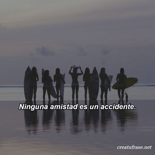 Frases de Amistad - Ninguna amistad es un accidente.