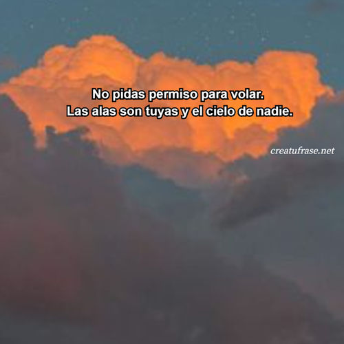 Frases de Amor Propio - No pidas permiso para volar.  Las alas son tuyas y el cielo de nadie.