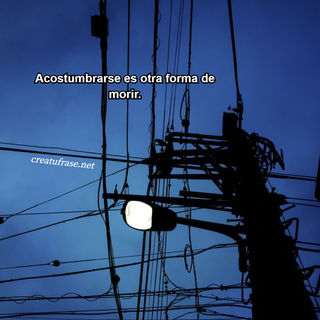 Acostumbrarse es otra forma de morir.