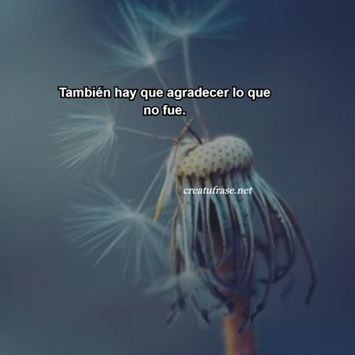 Frases para Reflexionar - También hay que agradecer lo que no fue.