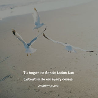 Tu hogar es donde todos tus intentos de escapar, cesan.