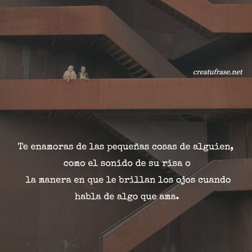 Te enamoras de las pequeñas cosas de alguien,  como el sonido de su risa o  la manera en que le brillan los ojos cuando habla de algo que ama.