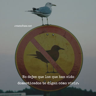 No dejes que los que han sido domesticados te digan cómo vivir.