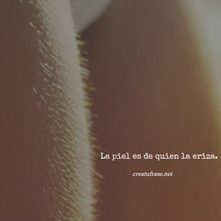 La piel es de quien la eriza.