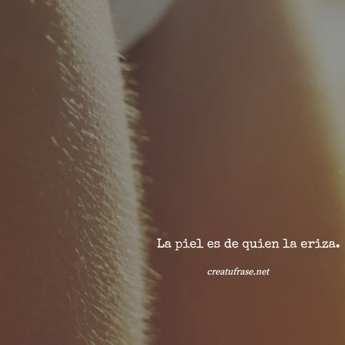Frases de Amor - La piel es de quien la eriza.