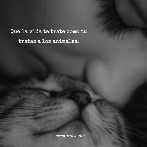 Frases de Animales - Que la vida te trate como tú tratas a los animales.