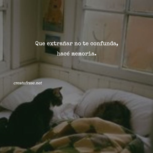 Frases de Amor Propio - Que extrañar no te confunda, hacé memoria.