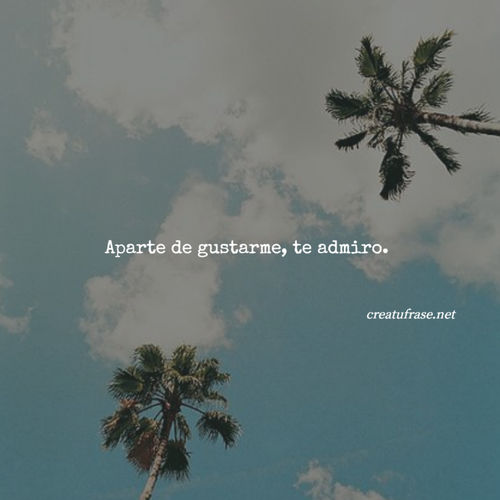 Frases de Amor - Aparte de gustarme, te admiro.