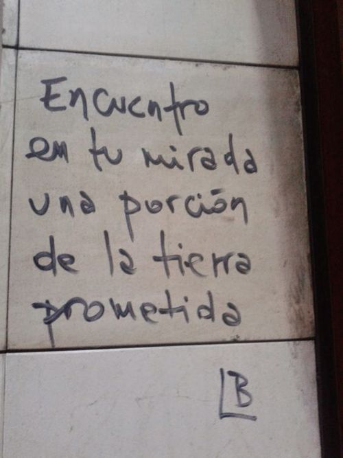 Frases de Acción Poética en Español (Latinoamericana) - Encuentro en tu mirada una porción de la tierra prometida.