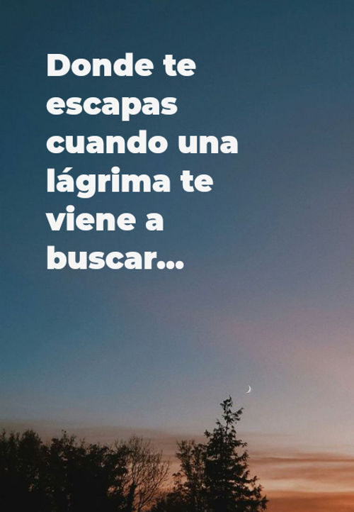 Frases sobre Pensamientos - Donde te escapas cuando una lágrima te viene a buscar...