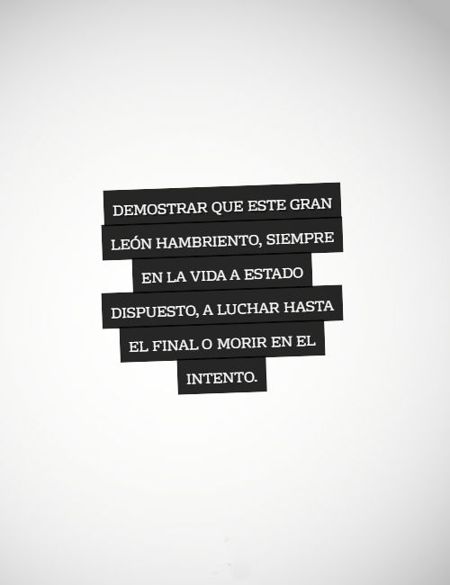 Frases de Animales - demostrar que este gran león hambriento, siempre en la vida a estado dispuesto, a luchar hasta el final o morir en el intento.