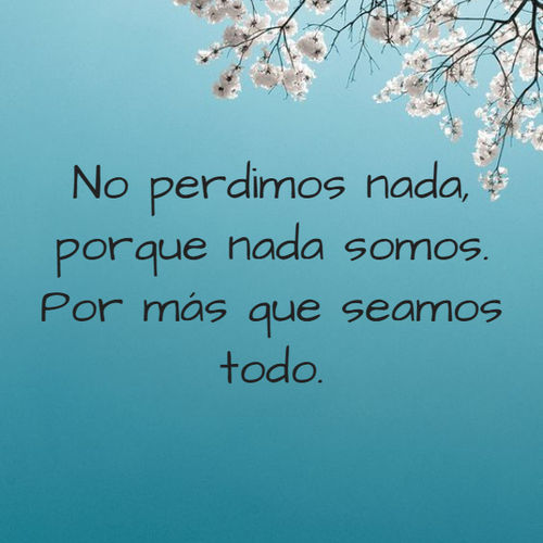 Frases de Amor - No perdimos nada, porque nada somos. Por más que seamos todo.