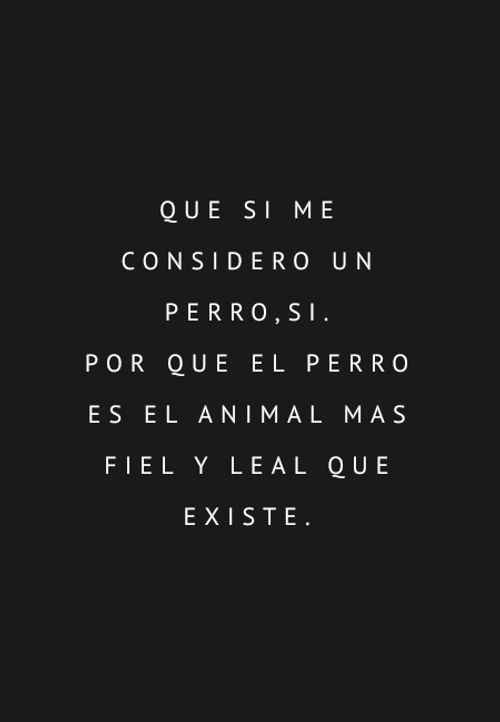 Frases de Animales - Que si me considero un perro,si. Por que el perro es el animal mas fiel y   leal que existe.