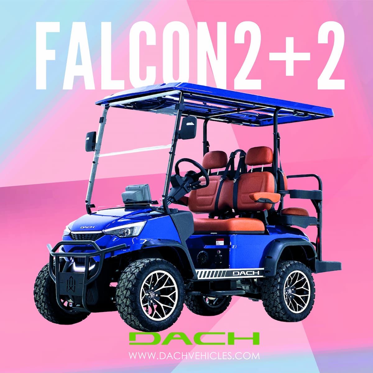 Dach Falcon