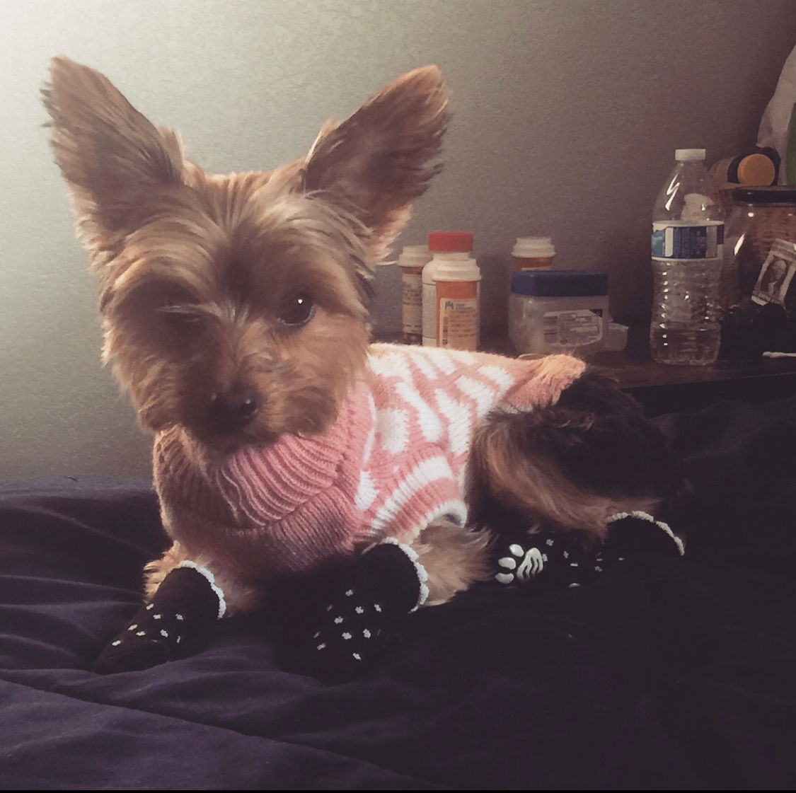 Lexi