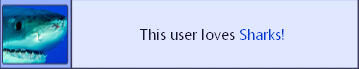 Custom Image Display